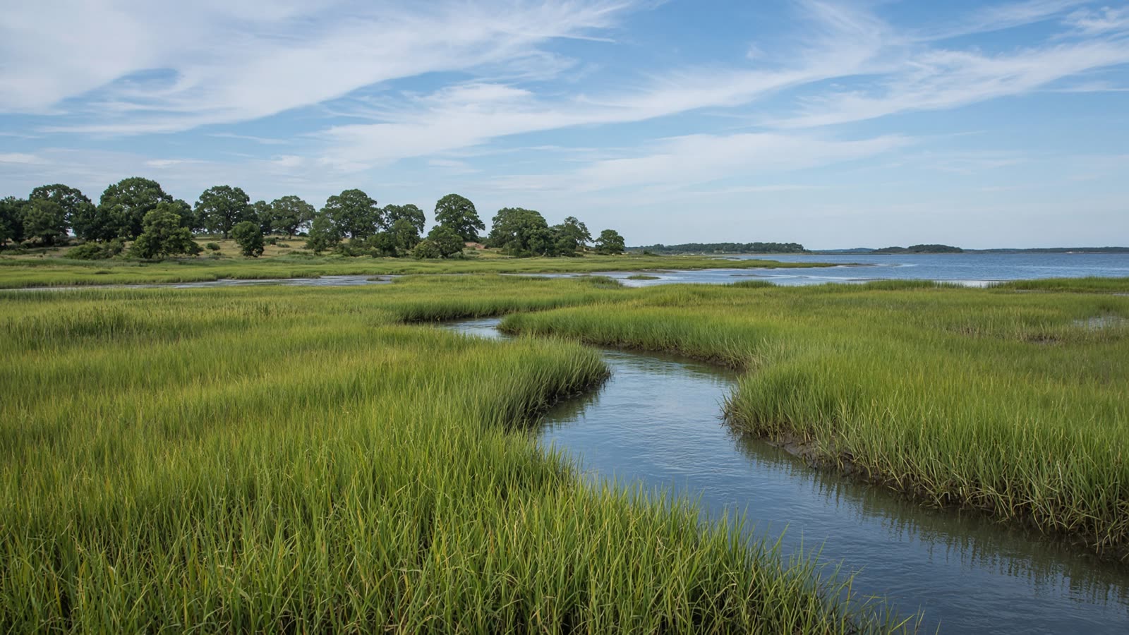 Mashpee salt marsh and tidal channel in summer